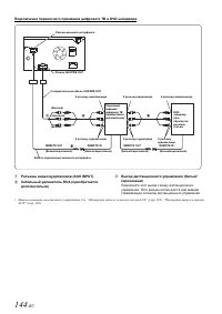 Страница 146