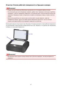 Страница 217