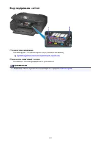 Страница 233