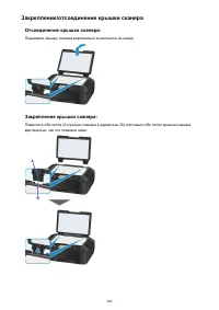 Страница 204