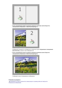 Страница 446