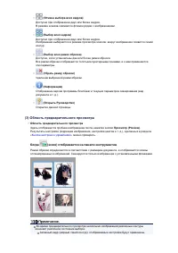 Страница 486