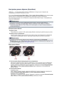 Страница 519