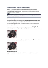 Страница 525