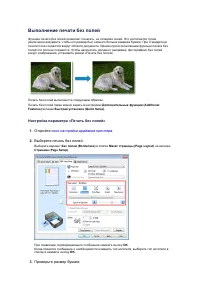 Страница 232