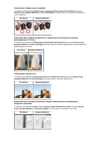 Страница 582