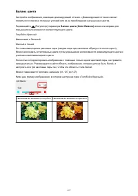 Страница 557