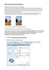 Страница 383