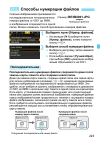 Страница 223