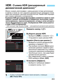 Страница 263