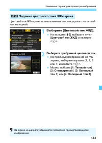 Страница 443