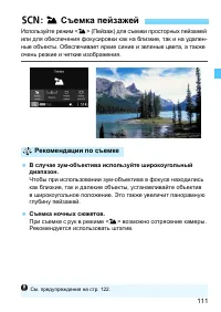 Страница 111