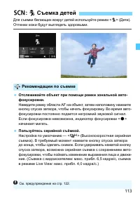 Страница 113