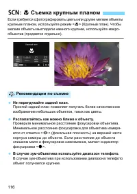 Страница 116