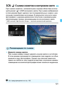 Страница 121