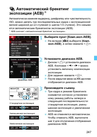 Страница 247