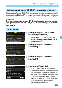 Страница 273