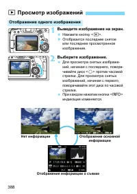 Страница 388