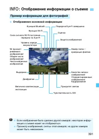 Страница 391