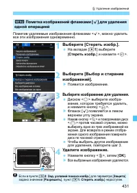 Страница 431