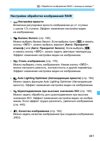 Страница 441