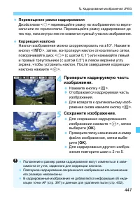 Страница 447