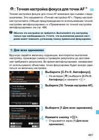 Страница 491