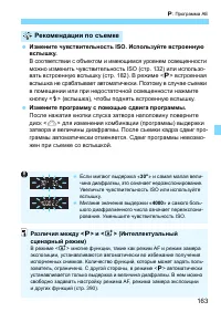 Страница 163