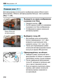 Страница 250