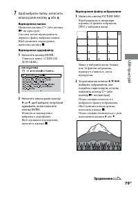 Страница 217