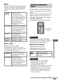 Страница 101