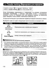 Страница 119