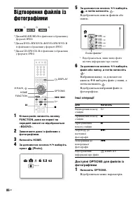 Страница 258