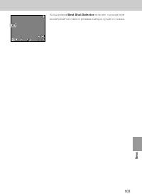 Страница 100