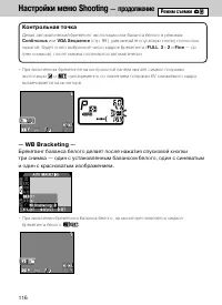 Страница 113