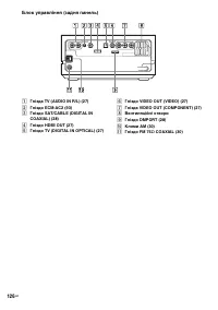 Страница 260