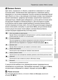 Страница 111