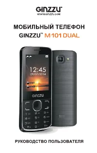 Ginzzu M101D