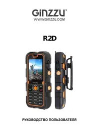Ginzzu R2D