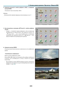 Страница 244