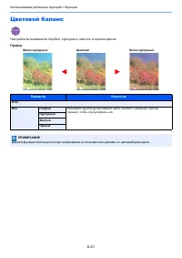 Страница 234