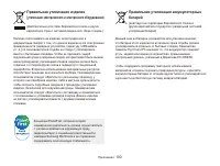 Страница 101