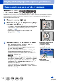 Страница 146