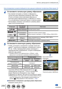 Страница 259