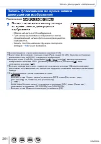 Страница 261