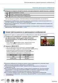 Страница 271