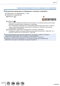 Страница 317