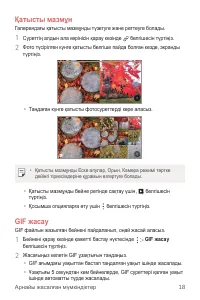 Страница 293