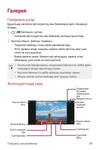 Страница 355