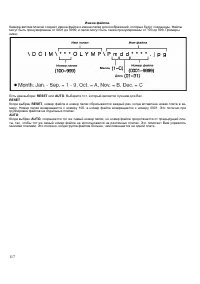 Страница 117